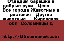 Отдадим барашка в добрые руки › Цена ­ 1 - Все города Животные и растения » Другие животные   . Кировская обл.,Соломинцы д.